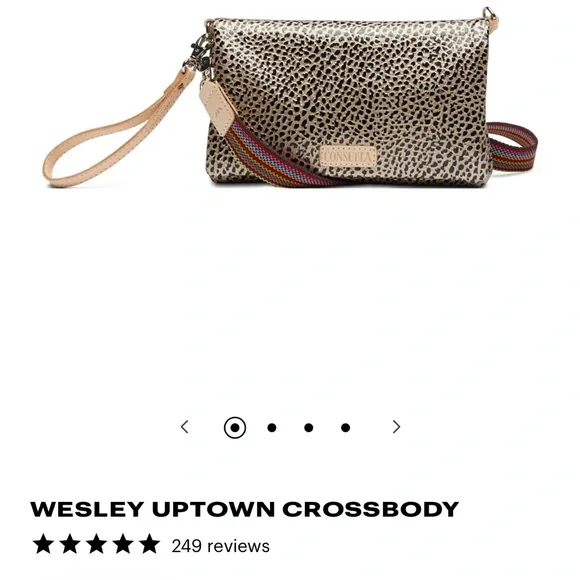 Consuela Metallic Silver Leopard Crossbody with Rainbow Woven Strap and Tan Trim - Picture 2 of 5